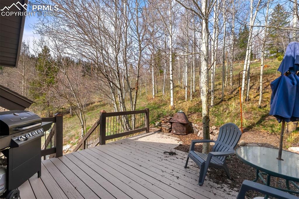 Image 33 of 50: Deck