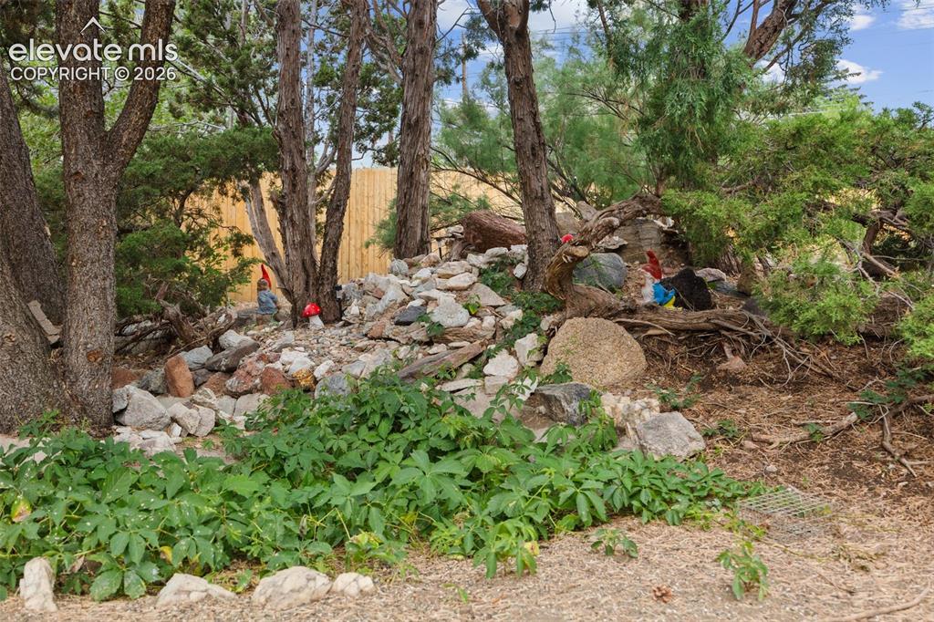 Image 46 of 46: Yard