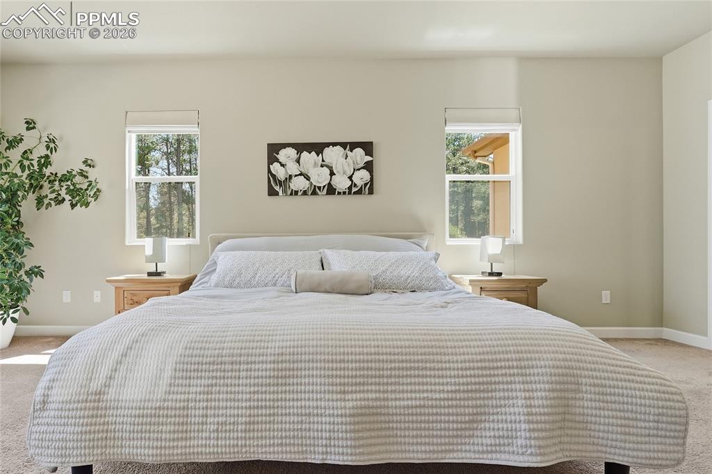 Image 19 of 45: Master Bedroom