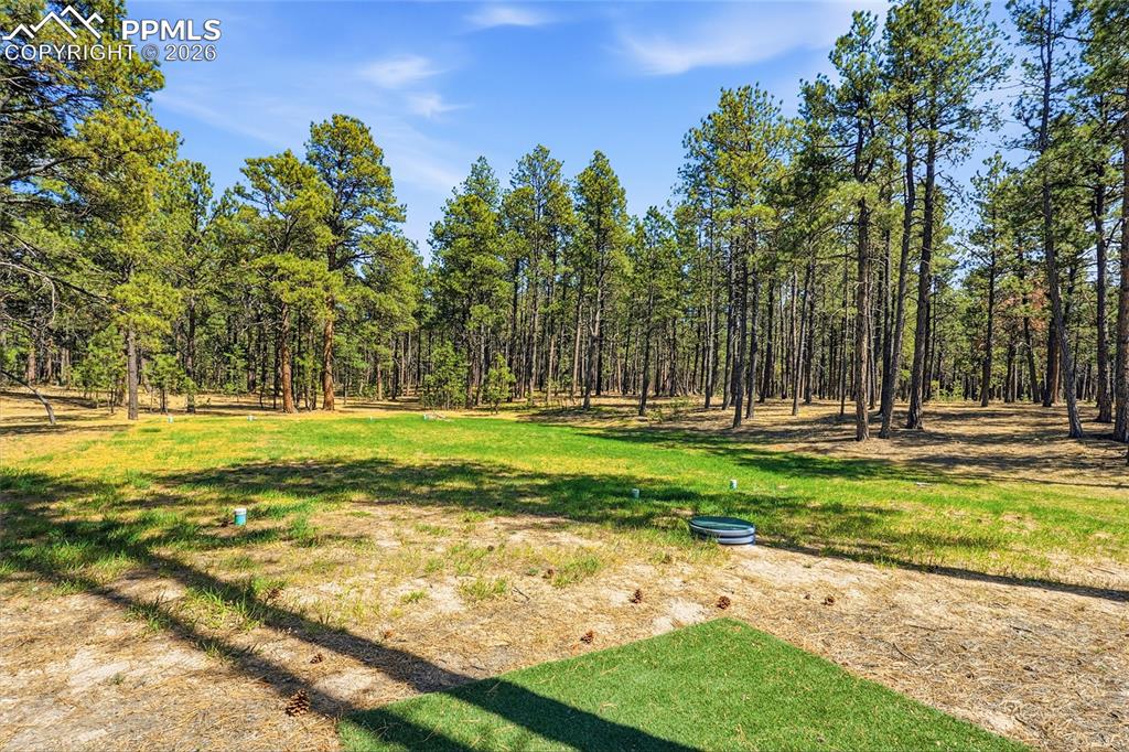 Image 42 of 45: Smell the Pine Trees and listen to the birds chirping