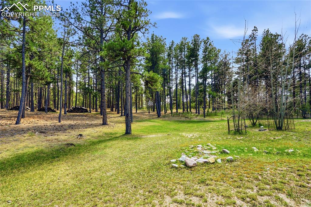 Image 43 of 45: Yard