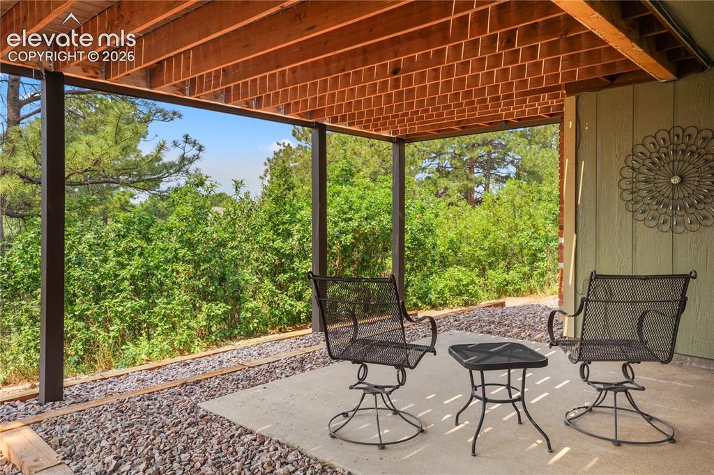 Image 31 of 39: Basement walk-out to covered concrete patio with fresh xeriscaping and ceda