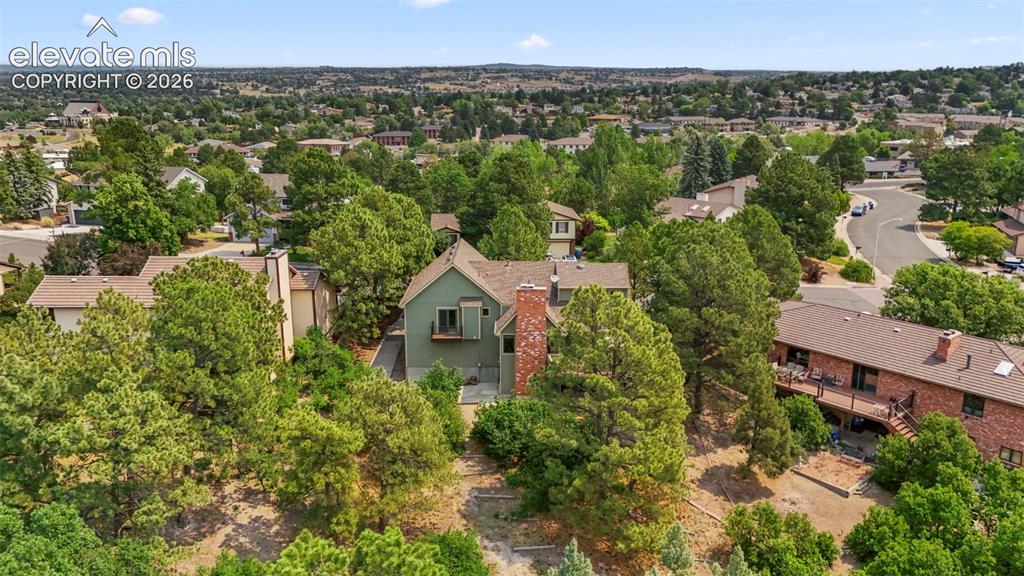 Image 36 of 39: Large wooded lot with loads of wildlife,perfectly nestled in the the heart