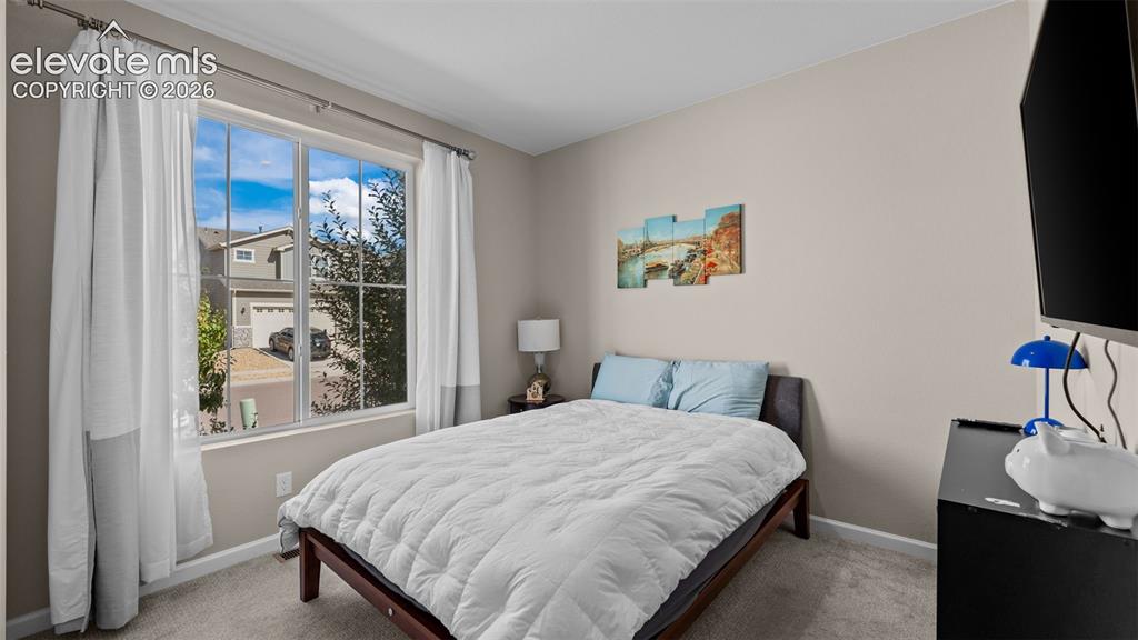 Image 5 of 46: Neutral tone wall paint, carpeted flooring, and a large window with white t