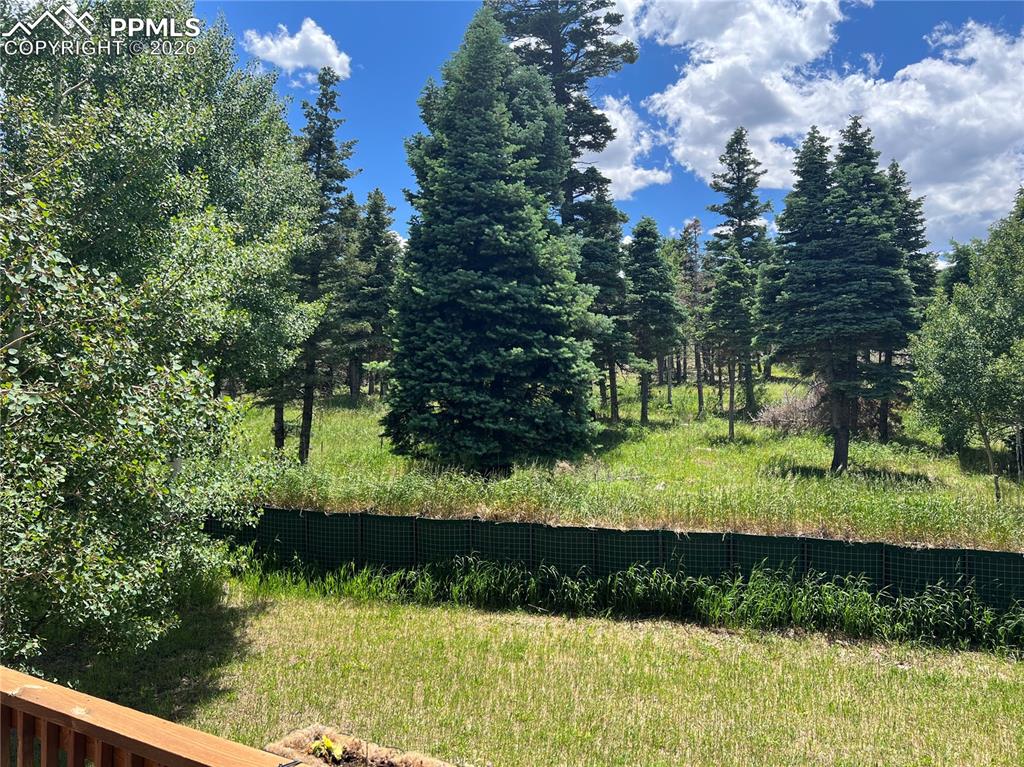 Image 4 of 48: Other