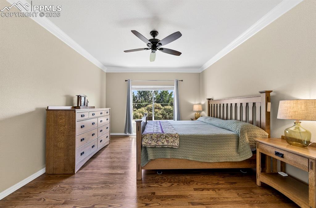 Image 22 of 47: Natural light from the large window, facing the backyard