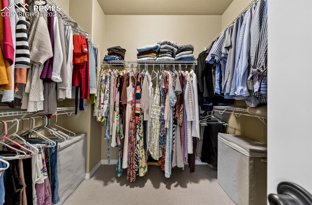 Image 26 of 47: Walk-in closet featuring carpet flooring, neutral wall paint, and extensive