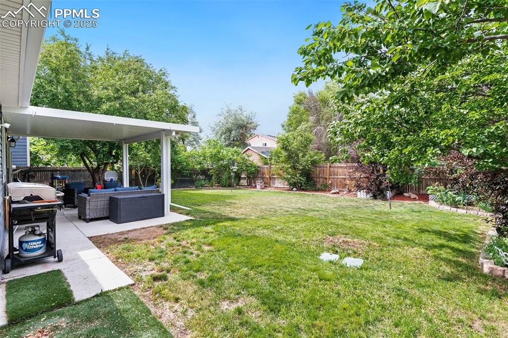 Image 31 of 40: Yard