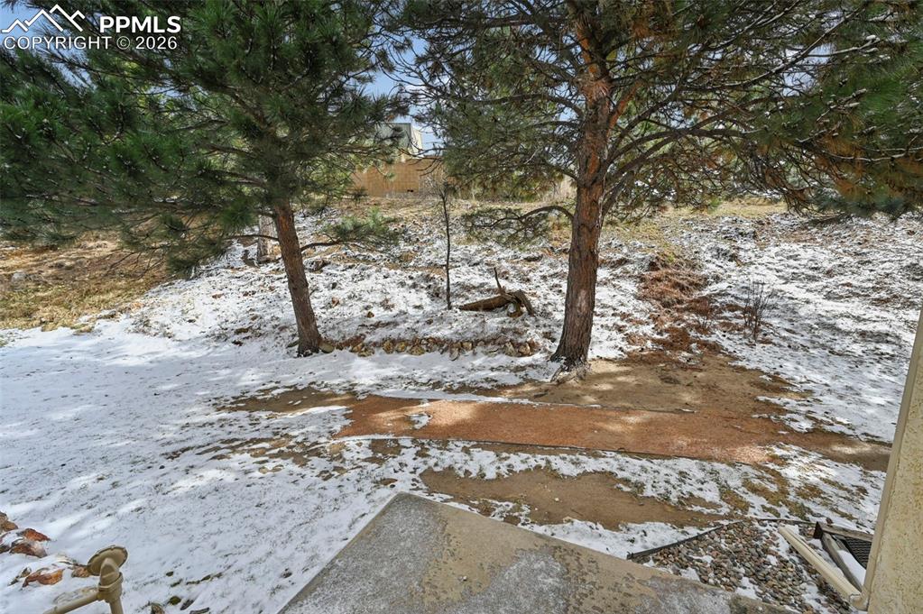 Image 28 of 39: Yard