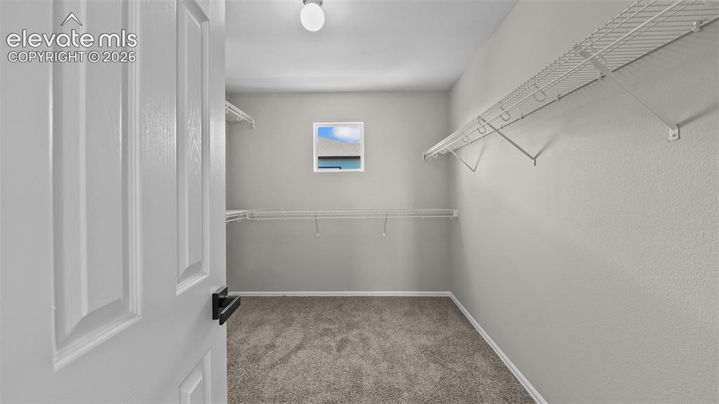 Image 25 of 47: Walk-in closet featuring carpet flooring, built-in wire shelving, and a sin