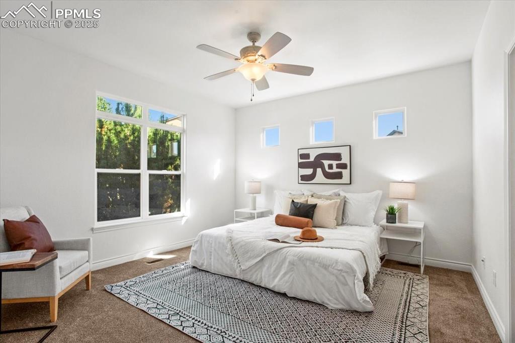 Image 3 of 31: Carpeted bedroom with multiple windows and a ceiling fan