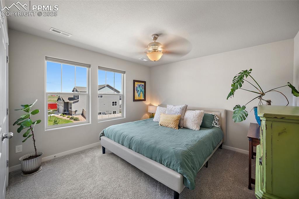 Image 23 of 40: Second bedroom with large window allowing for an abundance of natural light