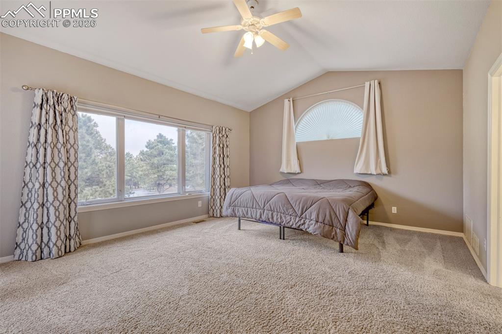 Image 16 of 50: Master bedroom featuring carpet, ceiling fan, and ensuite bathroom, walk in