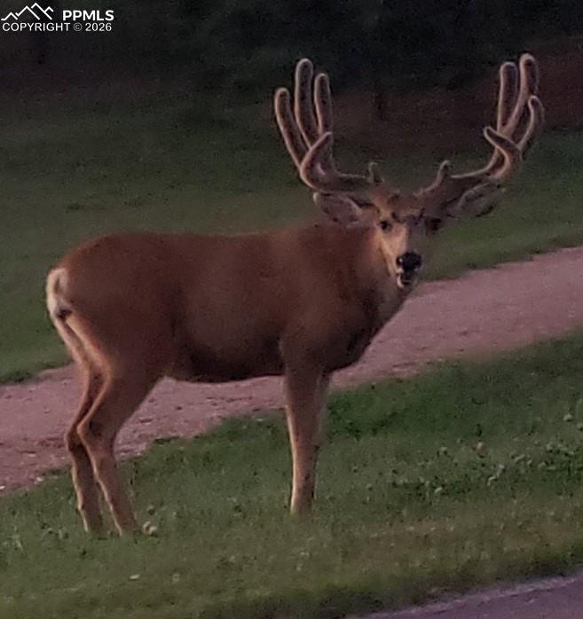 Image 33 of 50: Exterior view