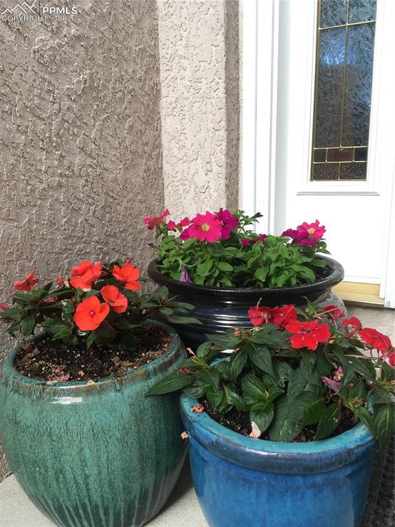 Image 34 of 50: Detailed view of stucco siding