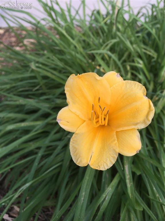 Image 36 of 50: Exterior view