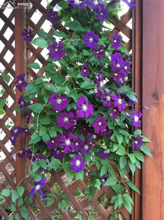 Image 37 of 50: Exterior view