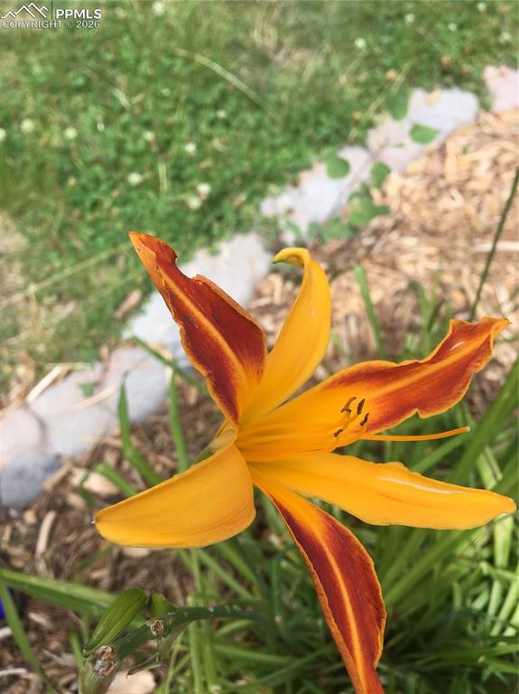 Image 39 of 50: Exterior view