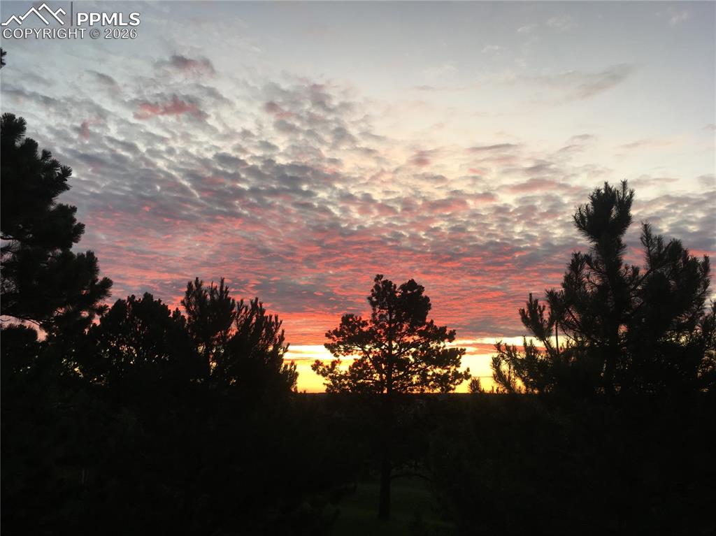 Image 40 of 50: View of nature at dusk
