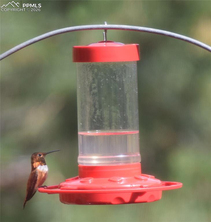 Image 41 of 50: Exterior view