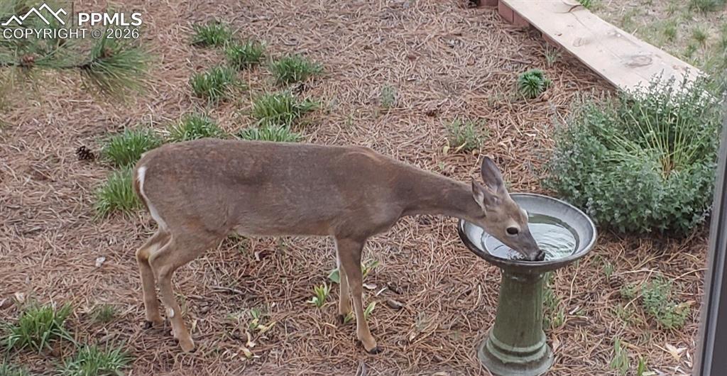 Image 42 of 50: Exterior view