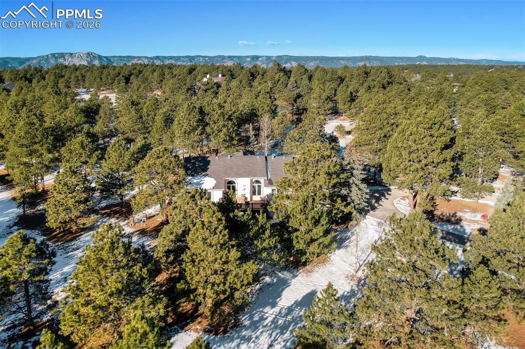 Image 47 of 50: Bird