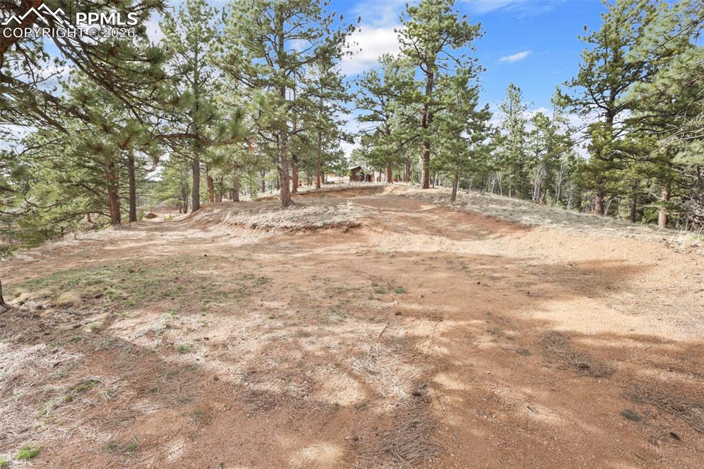 Image 42 of 50: Yard