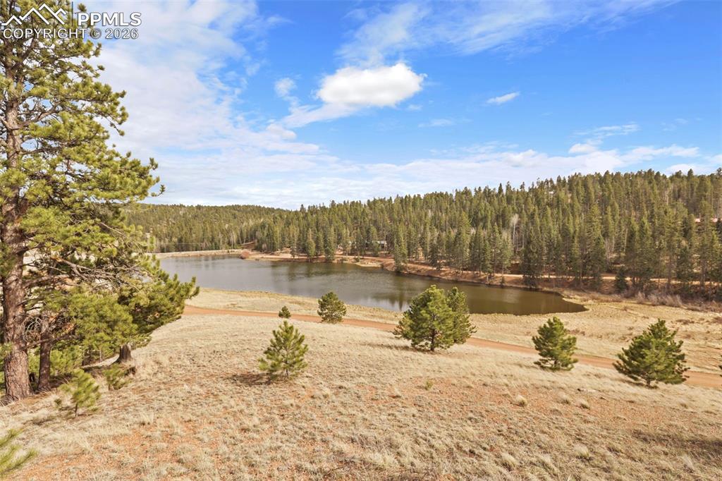 Image 43 of 50: View