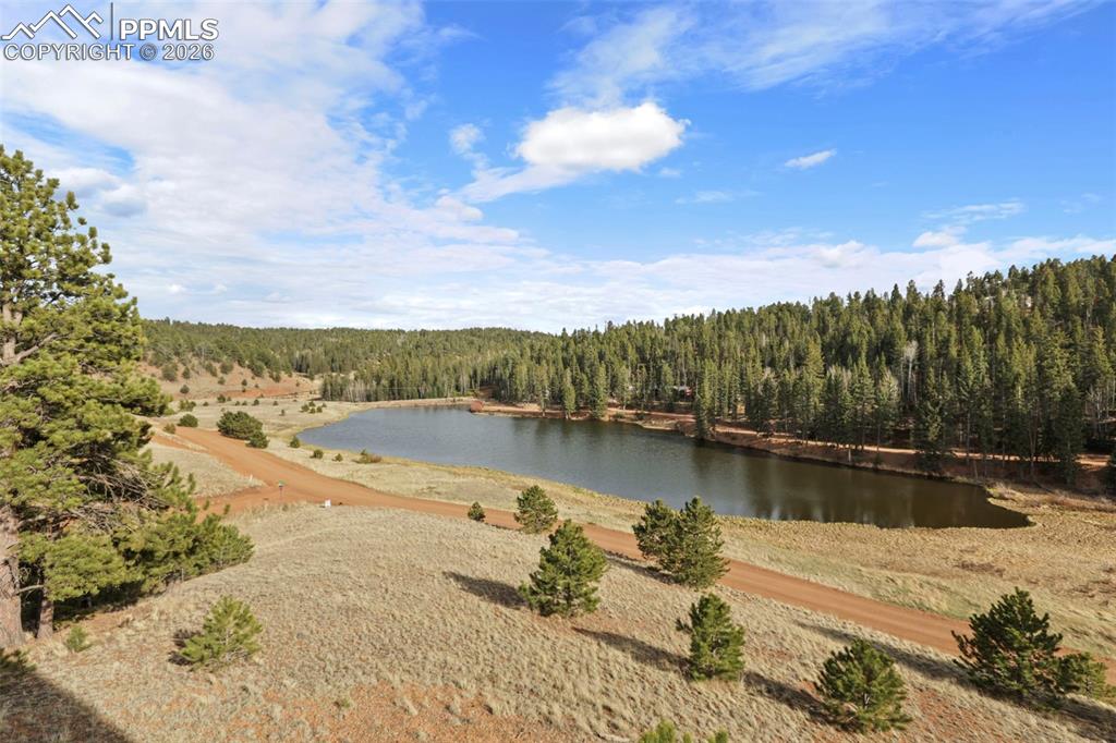 Image 48 of 50: View