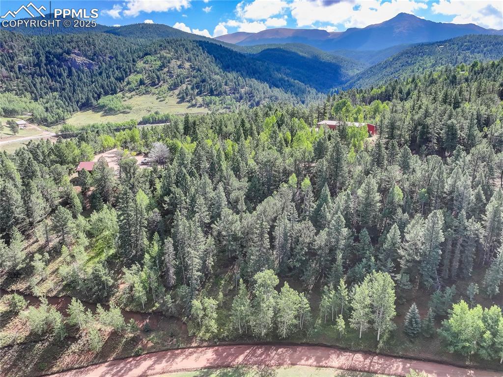 Caption: Peaceful mountain lot