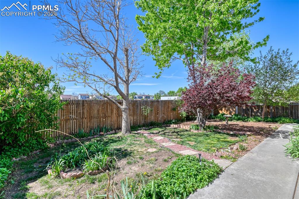 Image 33 of 36: No Description Available