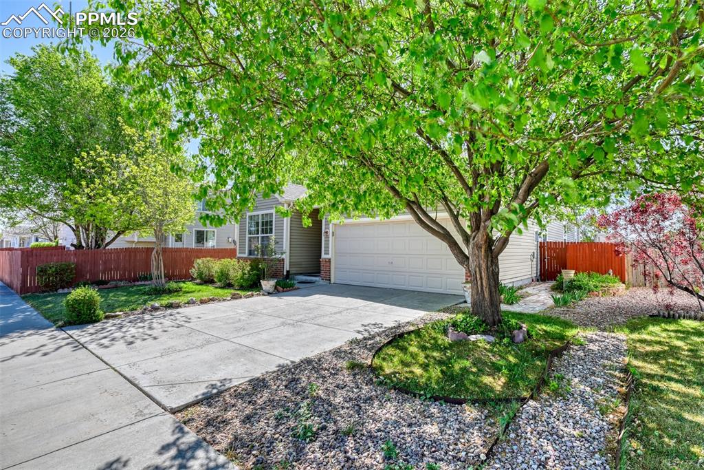 Image 36 of 36: No Description Available