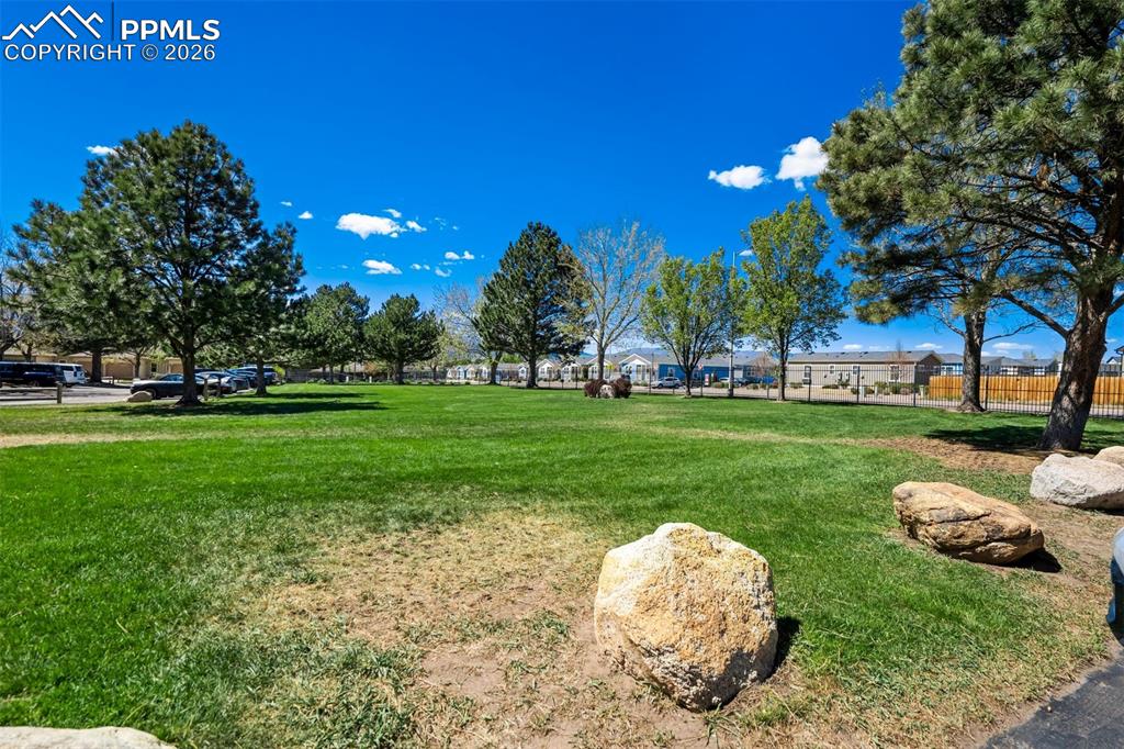 Image 31 of 34: Yard