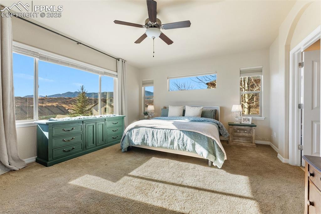 Image 19 of 50: Primary Bedroom featuring light carpet, abundant natural light, a ceiling f