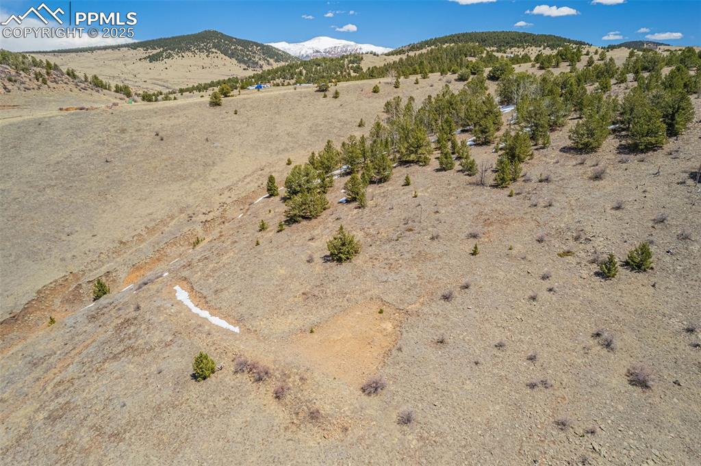 Image 11 of 36: View