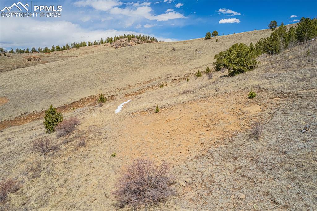 Image 14 of 36: View