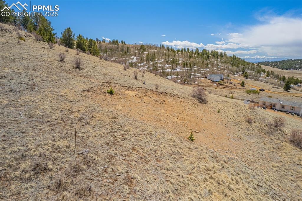 Image 15 of 36: Other