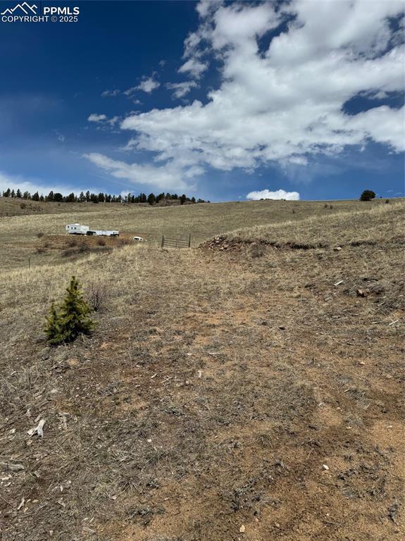 Image 23 of 36: Yard