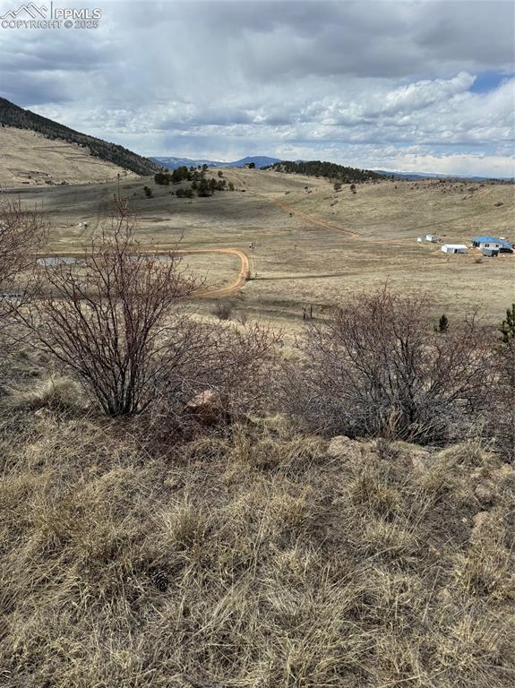 Image 24 of 36: Yard