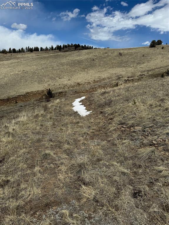 Image 25 of 36: Yard