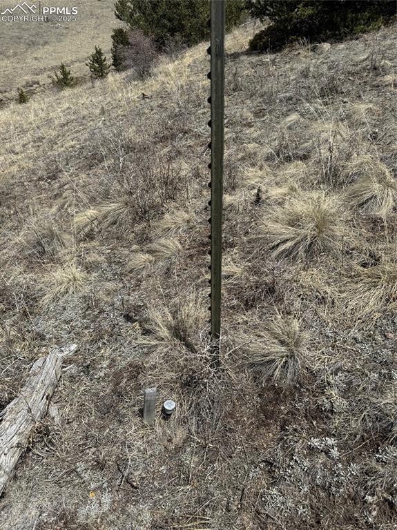 Image 27 of 36: Other