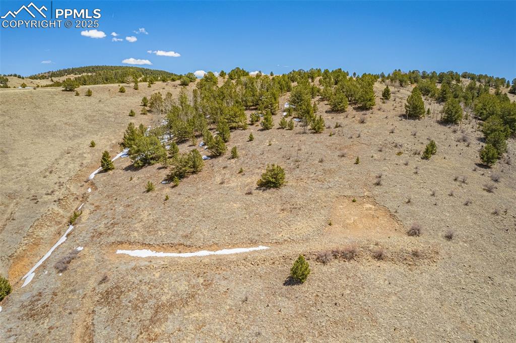 Image 3 of 36: Other