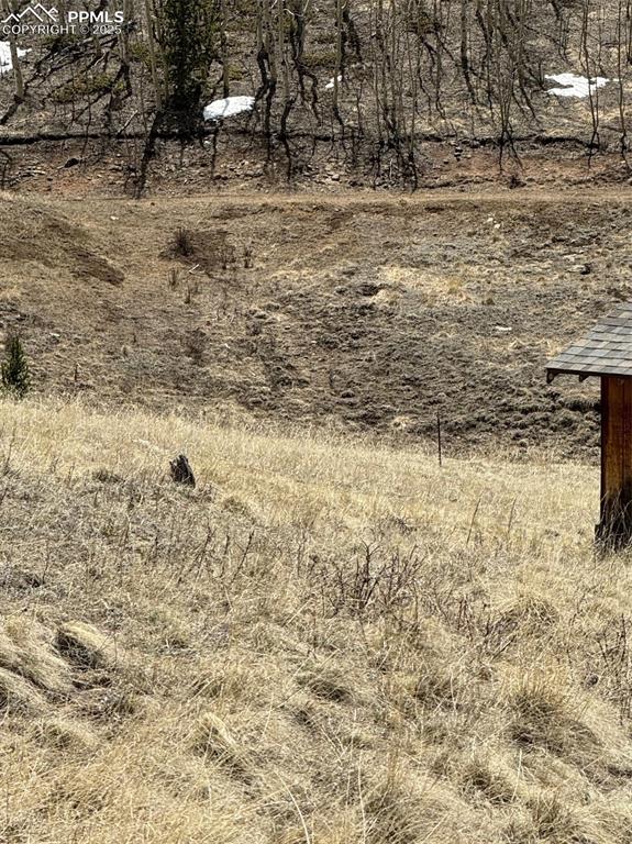 Image 30 of 36: Other