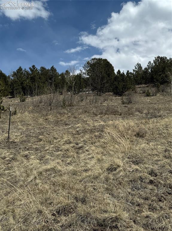 Image 32 of 36: Other