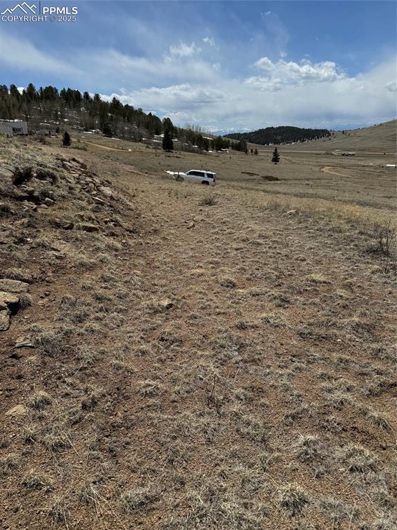 Image 33 of 36: Yard