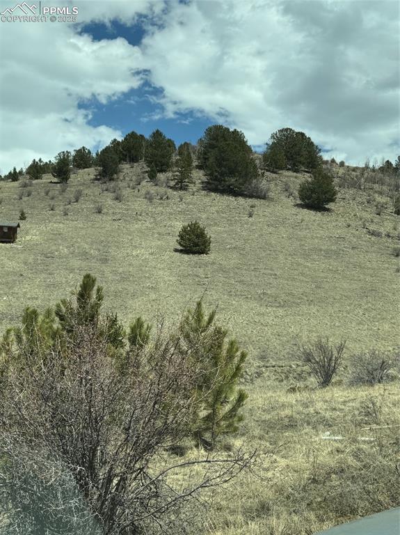 Image 35 of 36: Other