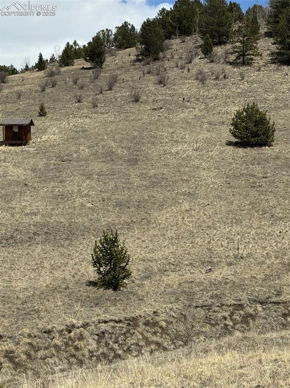 Image 36 of 36: Other