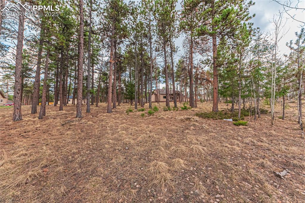 Image 11 of 37: Yard