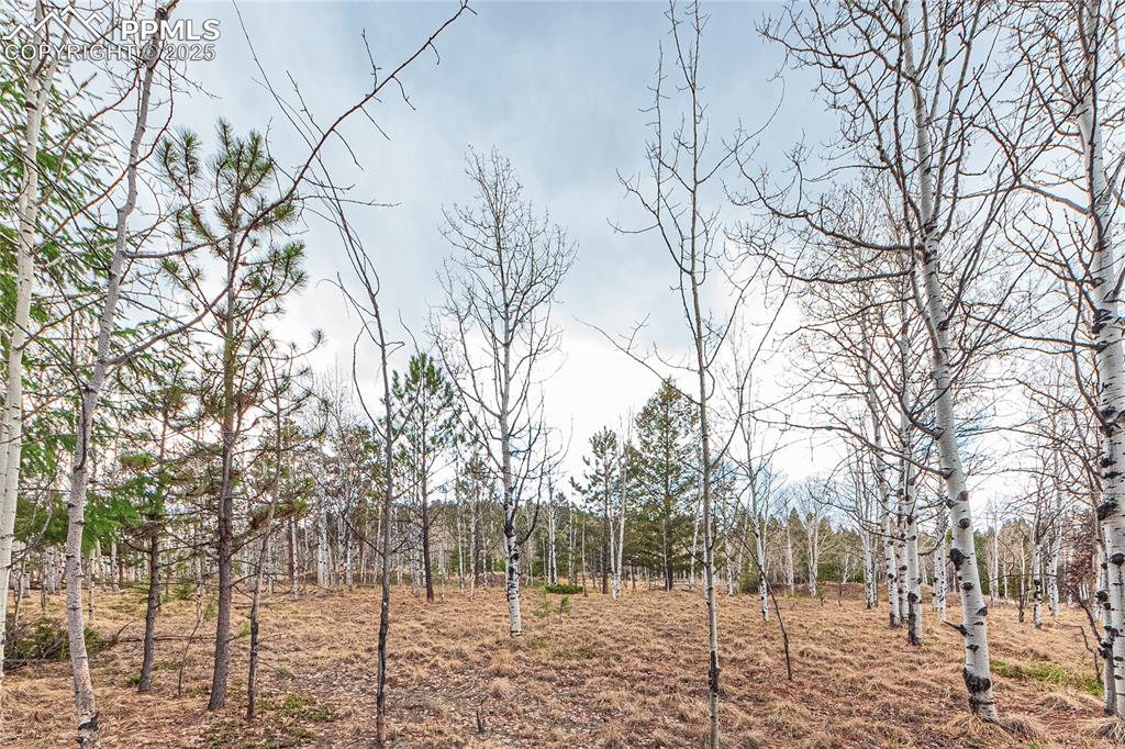 Image 13 of 37: View