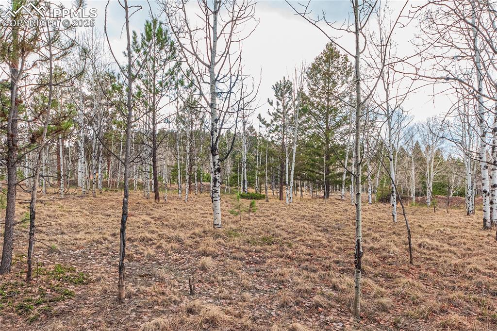 Image 14 of 37: View